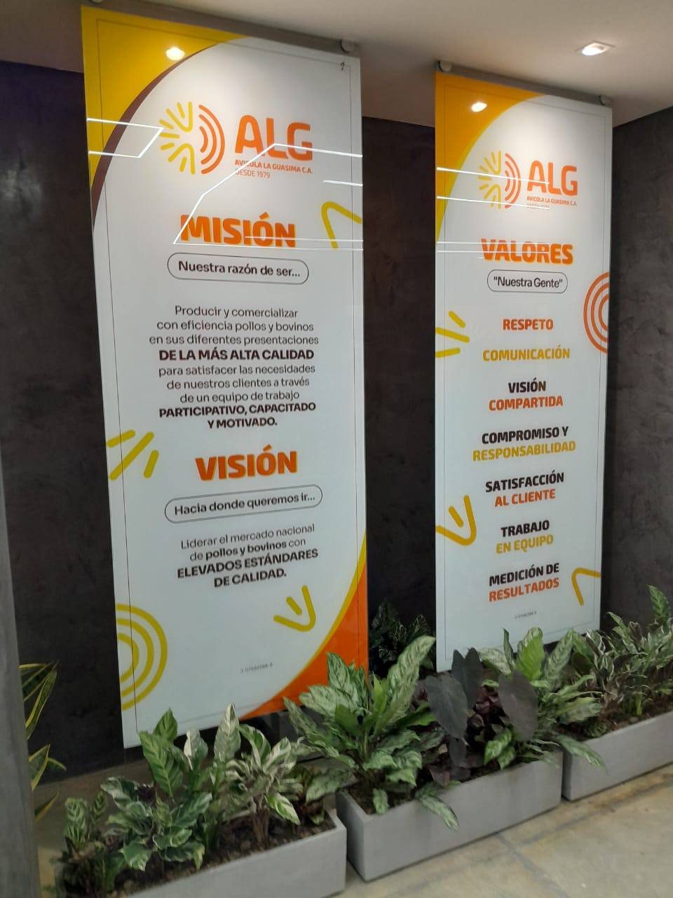 Paneles de misión, visión y valores de ALG